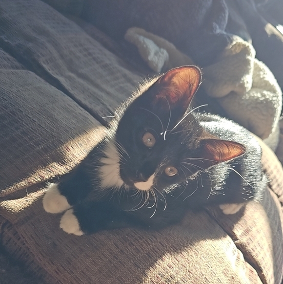 Meet your Posher, Mo! - Picture 4 of 5